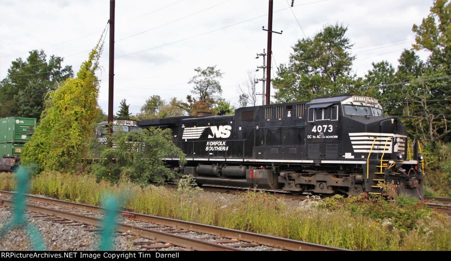 NS 4073, 9800 on 20Q